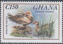 Stamp:-Cairina-moschata-(Ghana)