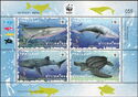 Protected Marine Animal Species
