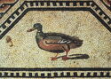 Römisch-Germanisches Museum Köln | Ente, Detail des Dionysos-Mosaiks | 2. Vierte