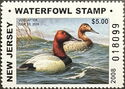 Canvasback (Aythya valisineria)