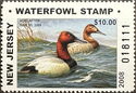 Canvasback (Aythya valisineria)