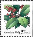 American Holly