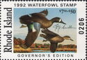 Blue-winged teal (Anas discors)
