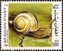 White-lipped Banded Snail (Helix hortensis)