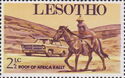 Mosotho Horseman and Car