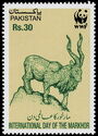 World Wildlife Fund : Day of the Markhor (Capra falconeri)