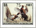 Pheasants displaying
