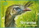 Red-Llegged Seriema (Cariama cristata)
