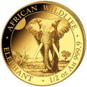 500 Shillings (African Wildlife - Elephant ½ Oz. 2025)