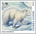 Ursus maritimus