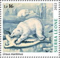 Ursus maritimus