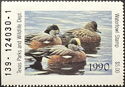 American wigeon (Anas americana)