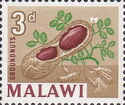 Groundnuts