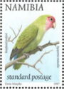 Rosy-faced Lovebird (Agapornis roseicollis)