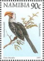 Southern Yellow-billed Hornbill (Tockus flavirostris)