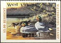 Green-winged teal (Anas carolinensis)