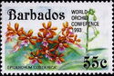 Epidendrum Costa Rica - overprinted