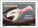 Amsterdam Albatros (Diomedea amsterdamensis), Amsterdam Is.