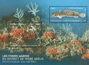 Sealife of the Adélie Land Seabed