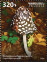 Magpie Mushroom (Coprinopsis picacea)
