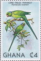 Rose-ringed Parakeet (Psittacula krameri)