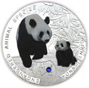 1,000 Kwacha (Endangered Animal Species - Giant Panda)