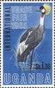 Grey Crowned Crane (Balearica regulorum)