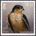 Sparrowhawk (Accipiter nisus)