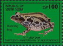 Running Frog (Kassina senegalensis)