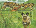 African Wild Dog (Lycaon pictus)
