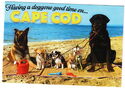 Cape Cod - Having A Doggone Good Time