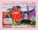 Tulip agenensis and Alkmaar windmill