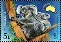 Koala (Phascolarctos cinereus)
