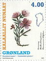 Flora of Greenland