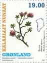 Flora of Greenland