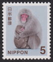 Japanese Macaque (Macaca fuscata)