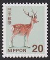 Sika Deer (Cervus nippon)