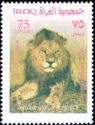 Lion (Panthera leo)
