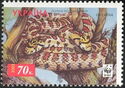 Leopard Snake (Elaphe situla)