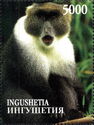 Sykes's Monkey, Cercopithecus albogularis