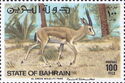 Sand Gazelle (Gazella subgutturosa), Male