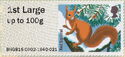 Eurasian Red Squirrel (Sciurus vulgaris)