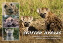 Spotted Hyenas