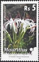Crinum mauritanum