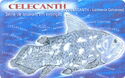 Celecanth