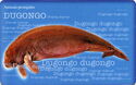 Animais Protegidos - Dugongo
