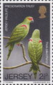 Thick-billed Parrot (Rhynchopsitta pachyrhyncha)