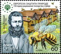 Jovan Živanović & Scientific Beekeeping in Serbia