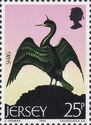 European Shag (Gulosus aristotelis)