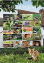 Garden Wildlife Collector's Sheet